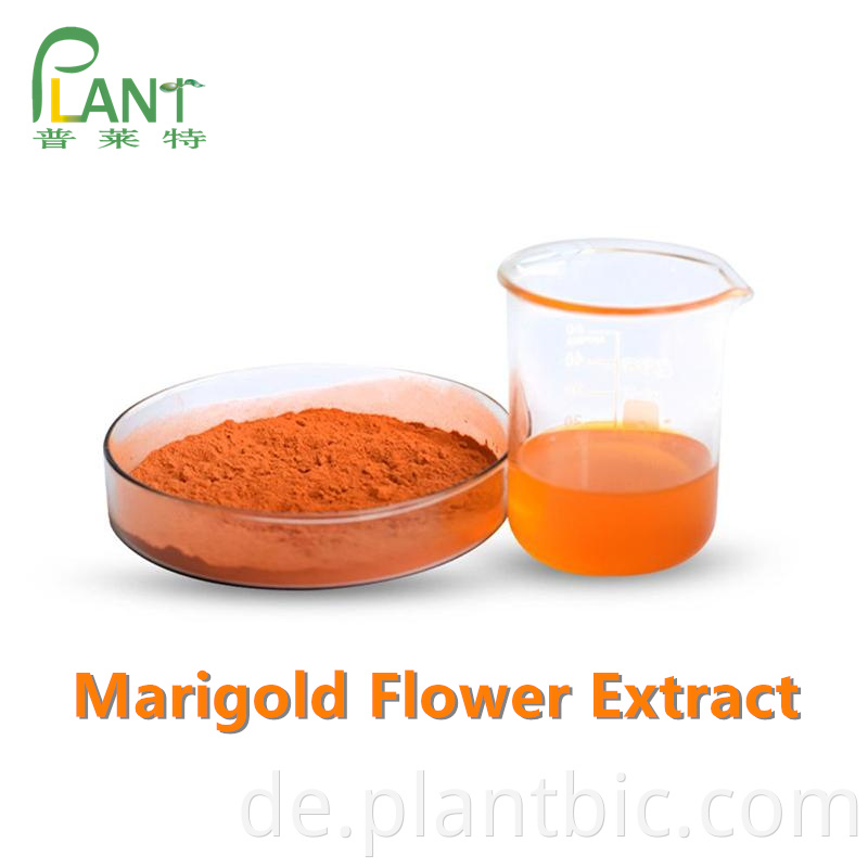 Marigold Flower Extract Powder